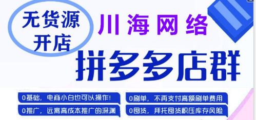 陕西拼上拼软件贴牌大象采集精细化运营拼多多代运营公司