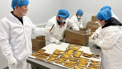 畅通金融“血脉” 邮储银行天津分行赋能和美乡村