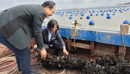 浙江农行做好普惠金融大文章