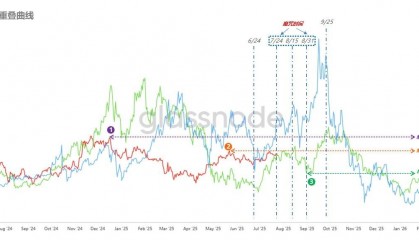 虚拟币性调整(虚拟币涨跌限制)