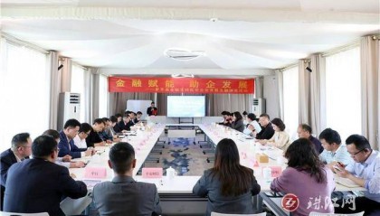罗平：汇金融团体力量 助民营企业发展