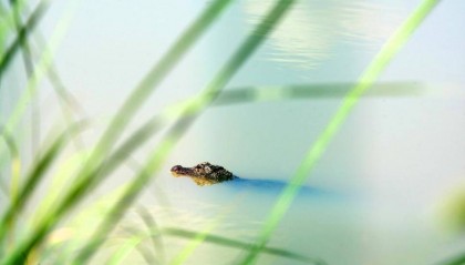 华夏银行杭州分行：金融赋能 推动浙江经济绿色脉动