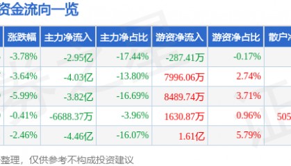 拓尔思（300229）8月29日主力资金净卖出2.95亿元