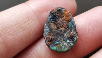 扇贝虚拟币(扇贝软件怎么样)