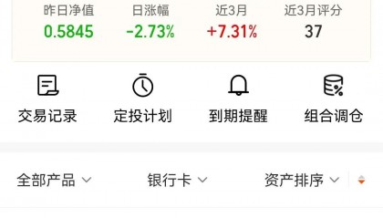 基金单位净值(基金单位净值怎么计算)