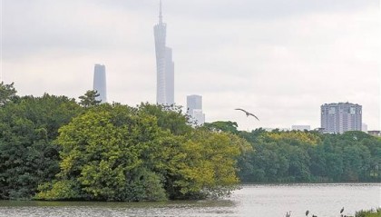 2025“羊城八景”评审组调研海珠