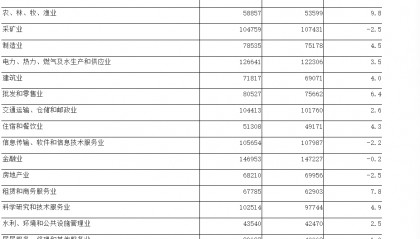 2024年河南省平均工资公布！