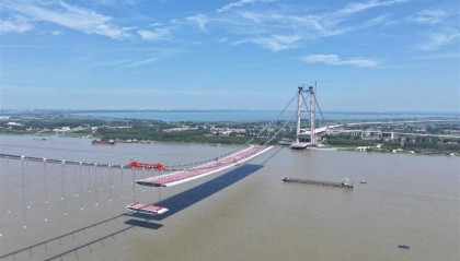 为防止鸟儿误撞，武汉双柳长江大桥将建400米长“防护罩”