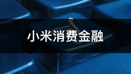 小米消费金融2024年净利润1.15亿元同比增长51.32%：总资产增长32.07%