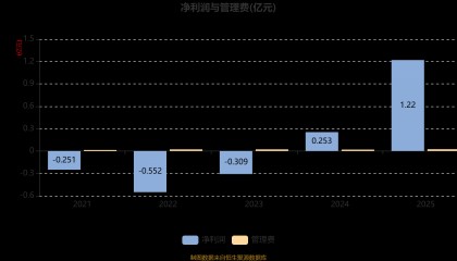 数字认证股票(四川长虹股票股吧)
