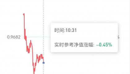 包含180003基金净值查询今天最新净值的词条
