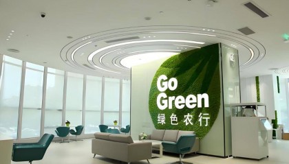 如何制作绿色金融银行网络投票评选活动？