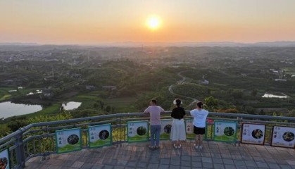 自贡荣县：“枇杷云顶”孕生机 夏夜山巅聚欢颜