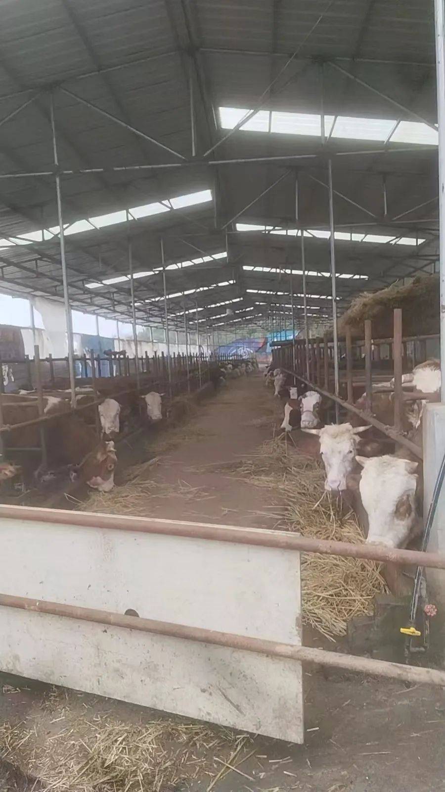 金融润泽百业 匠心护航民生 | 重庆银行遵义分行奋力谱写金融“五篇大文章”