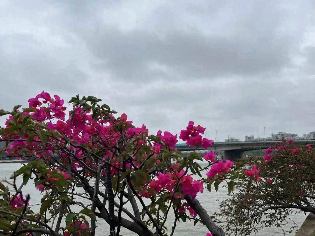 重庆开出五张金融监管罚单 最大罚单265万