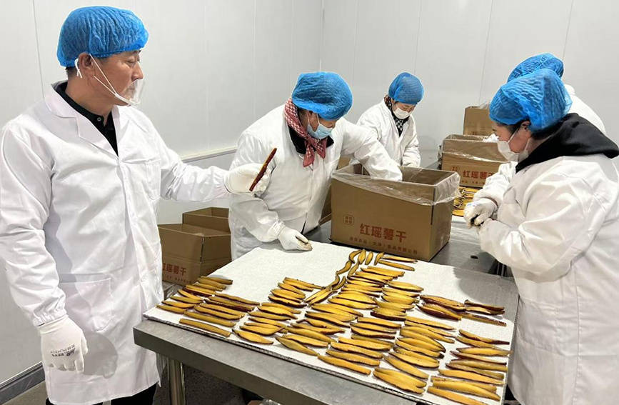 畅通金融“血脉” 邮储银行天津分行赋能和美乡村