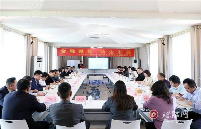 罗平:汇金融团体力量 助民营企业发展