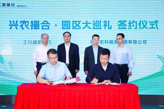 融资成果汇 | 普惠金融赋能 小微“贷”动新程