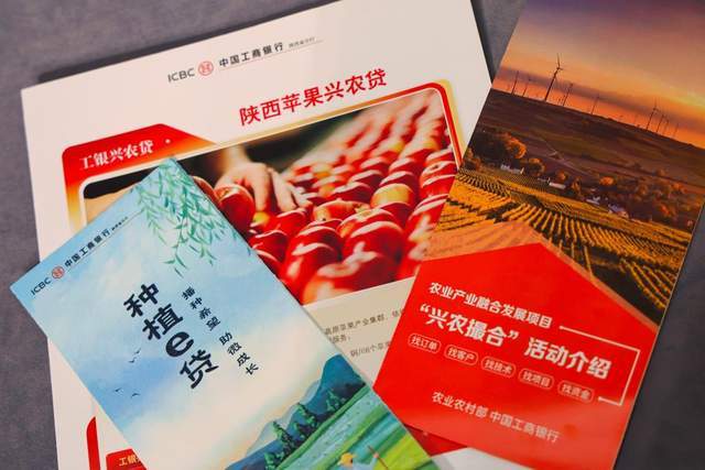 融资成果汇 | 普惠金融赋能 小微“贷”动新程