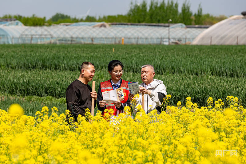 河南安阳:普及金融知识 筑牢安全防线