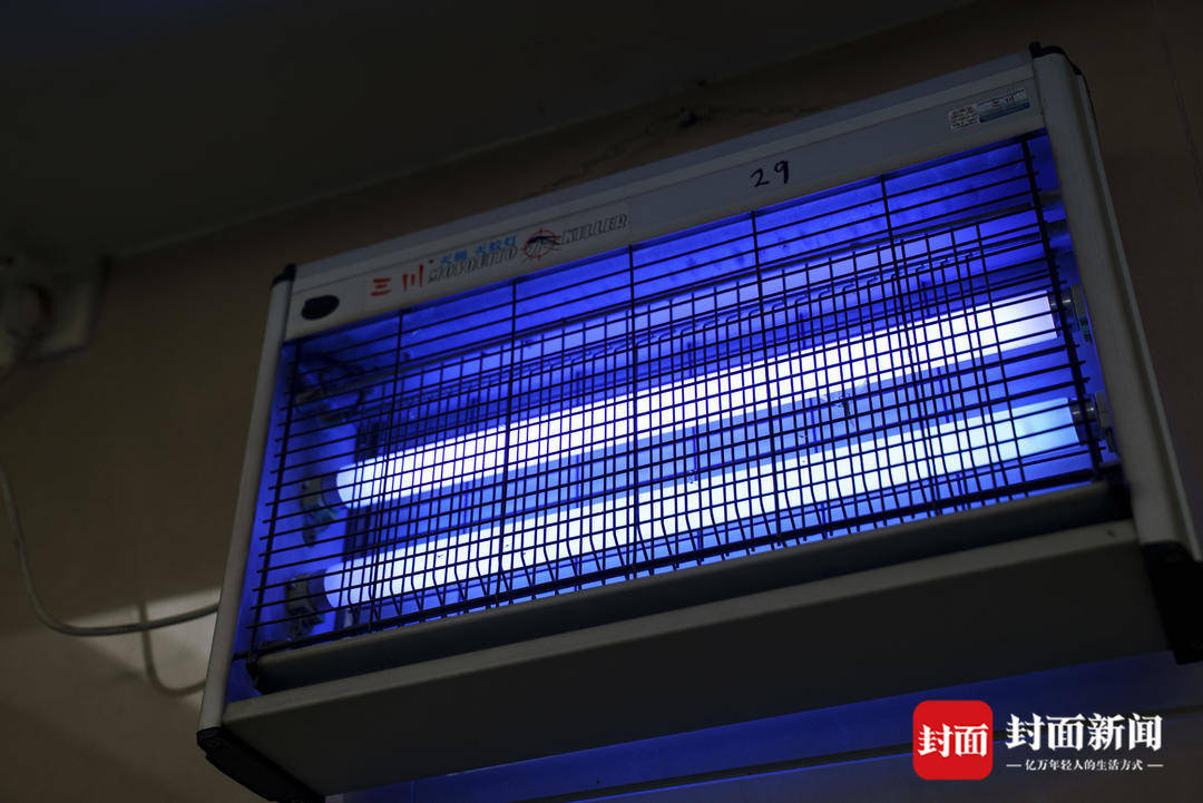 探访佛山基孔肯雅热定点医院:病床上加装了蚊帐,已有近300人治愈出院|封面头条