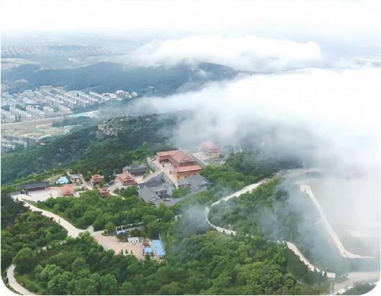 山东应急转贷基金贡献普惠金融发展的“山东方案”