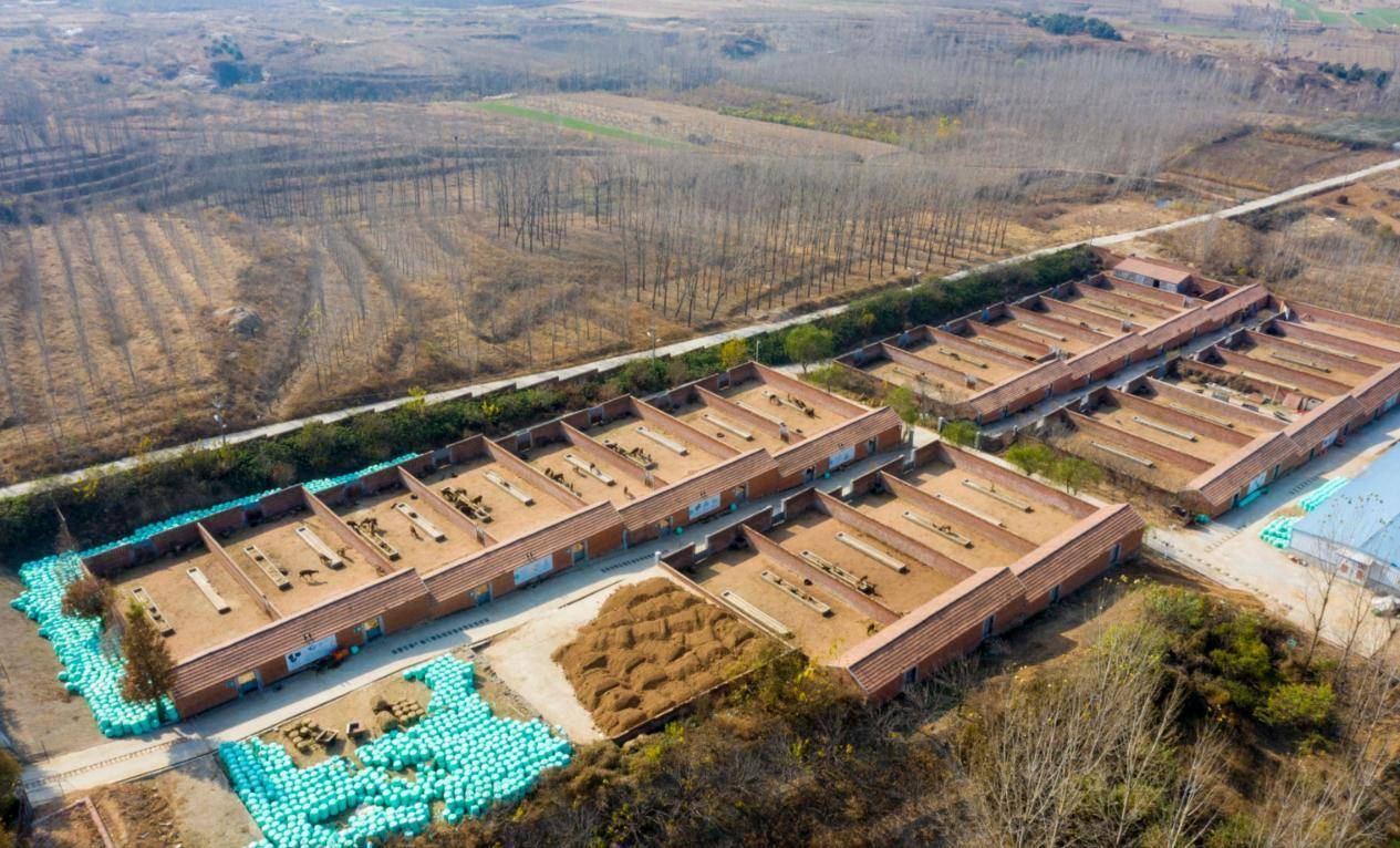 农发行山东省分行:金融“活水”润泽黄岛鹿业