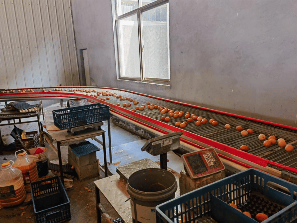 山东农担“鲁担农牧贷”:激活金融支牧新引擎