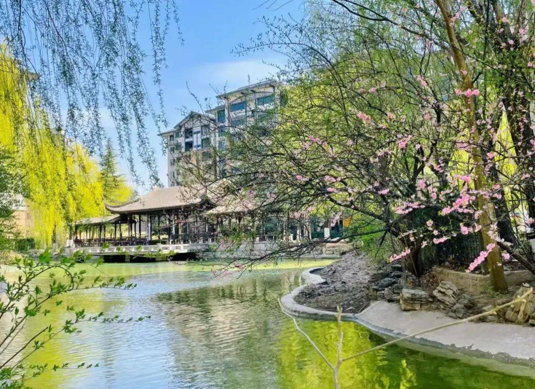 保利李红亮的第一个挑战!