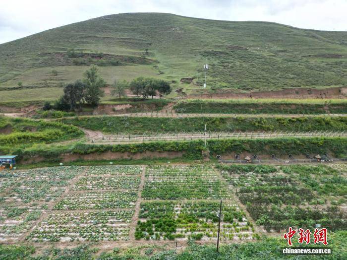 （乡村行·看振兴）长城脚下长城寨：盘活闲置农房 兴起乡村旅游