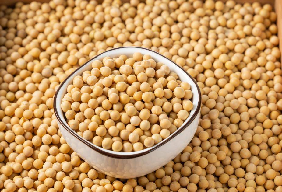 农业板块惊现15亿资金大逃亡,20天线告急!两阴夹一阳难救场