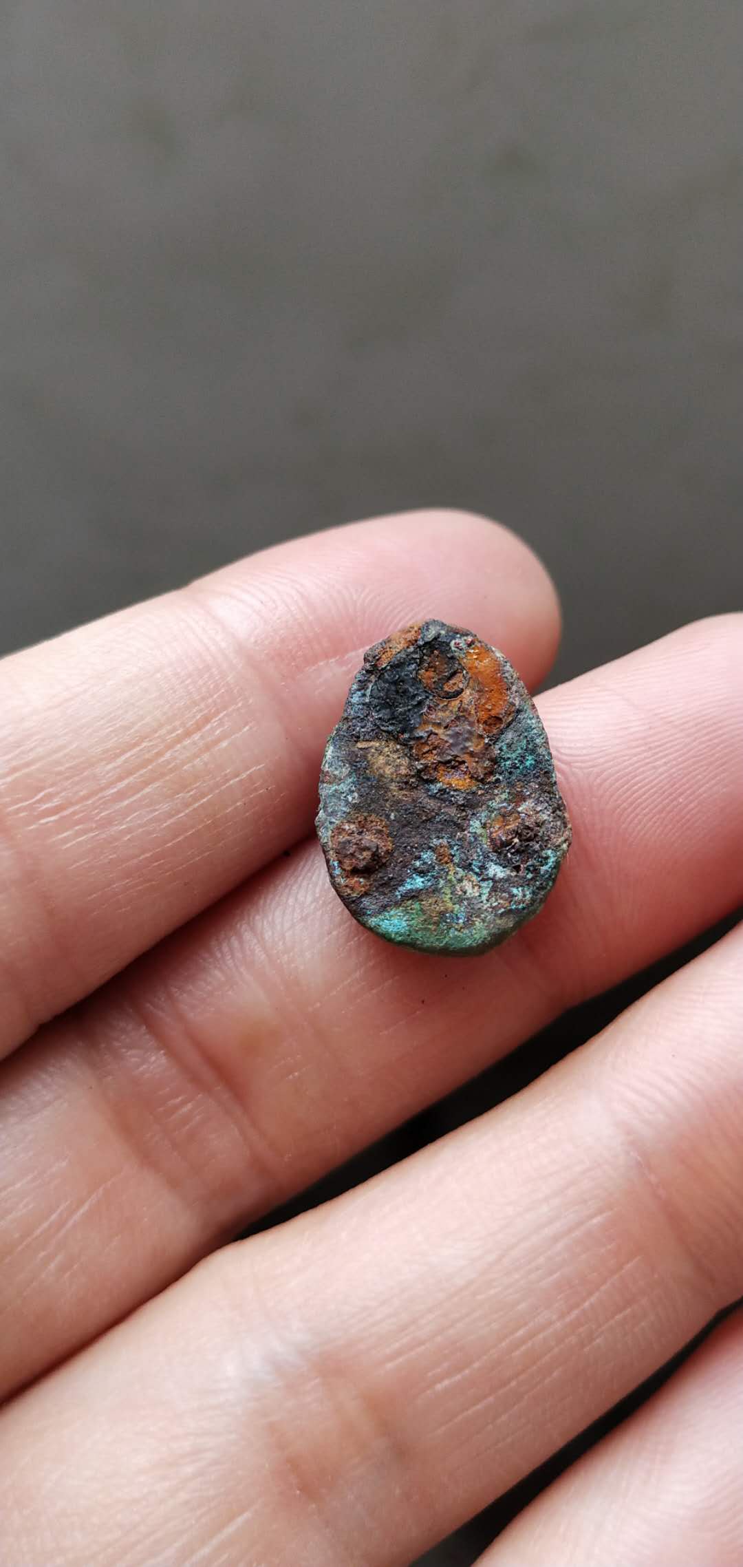 扇贝虚拟币(扇贝软件怎么样) 扇贝虚拟币(扇贝软件怎么样)