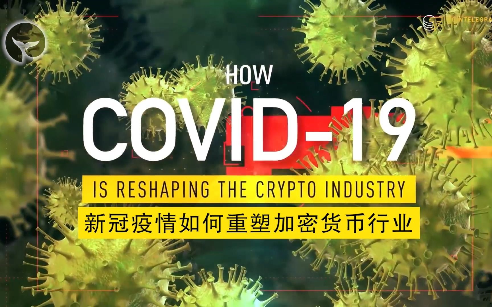 疫情虚拟币(虚拟币诈骗最新情况) 疫情虚拟币(虚拟币诈骗最新情况)