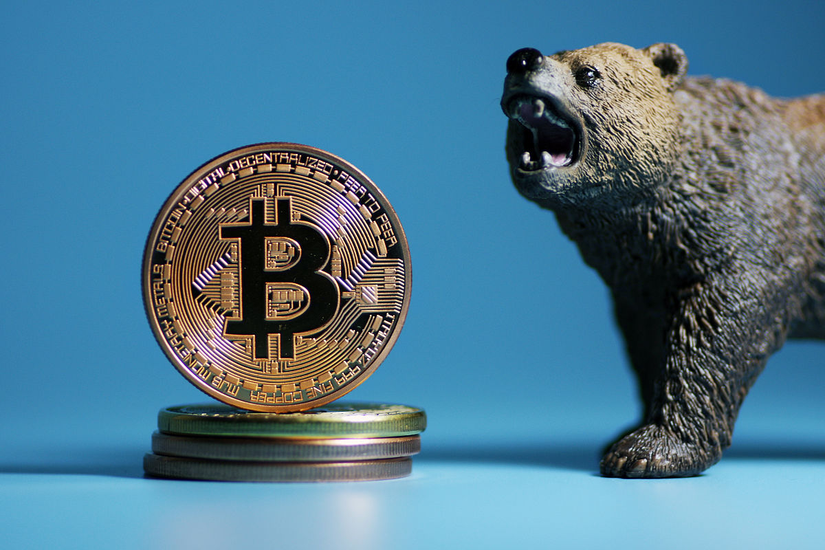 pe虚拟币(虚拟币 pi)